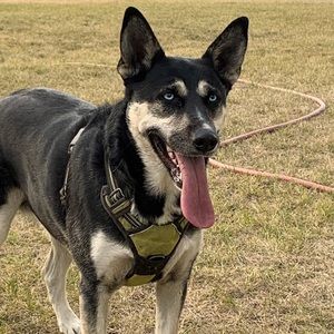 Meet your Posher, Patricia